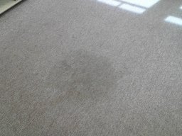 drs office highland mi 1 before